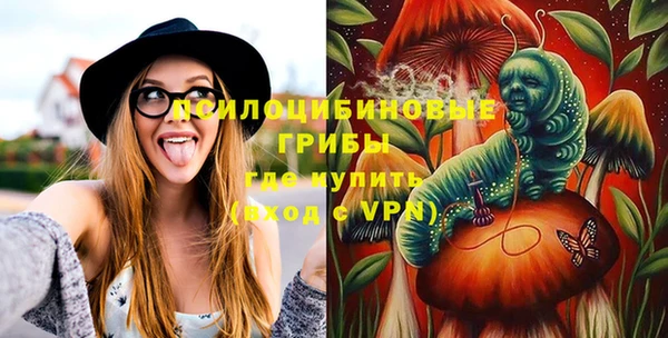 прущие грибы Нефтегорск