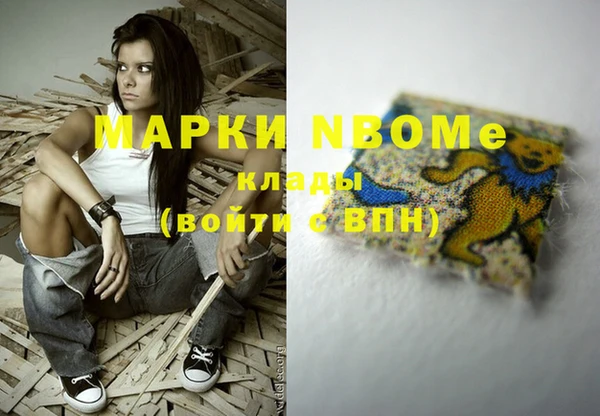 гидра Беслан