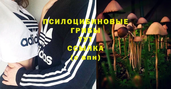 мяу мяу кристалл Нефтекумск