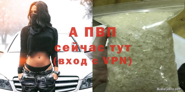 прущие грибы Нефтегорск