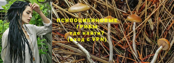 мяу мяу кристалл Нефтекумск