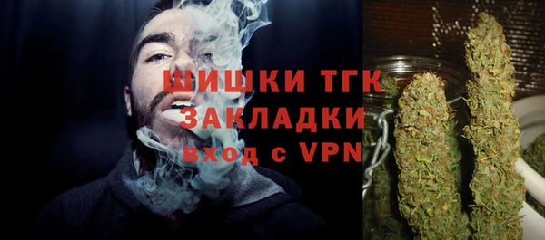 прущие грибы Нефтегорск
